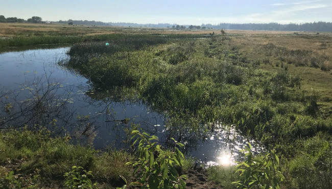 Grøn følgegruppe i dialog om Nationalpark Skjern Å